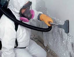 Trusted Kenosha, WI Mold Inspection Experts